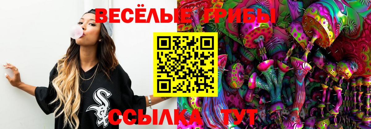Кострома  Псилоцибиновые грибы Psilocybe  Вход с VPN  Псилоцибиновые грибы мухоморы 