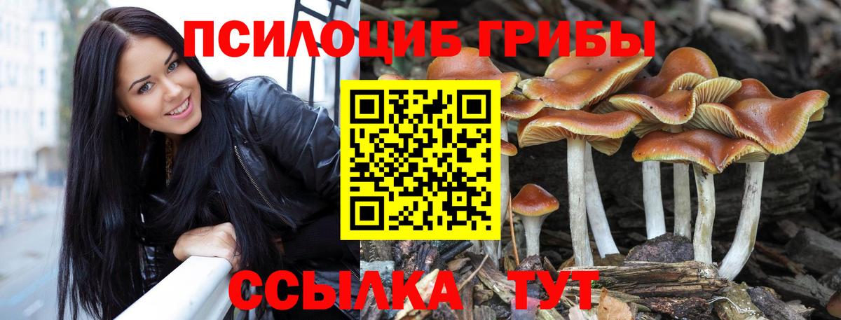 Меф мяу мяу Кострома